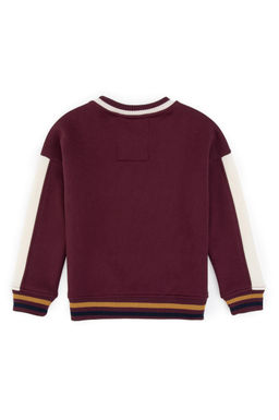 Erkek _ocuk Bordo Bisiklet Yaka Sweatshirt - U.s. polo assn фото 2