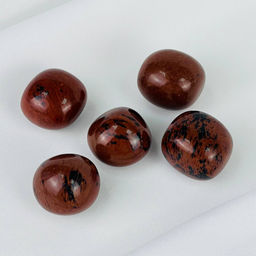 Ящерица из Кальцита