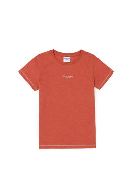 Футболка для мальчиков Пудра - U.s. polo assn фото 2