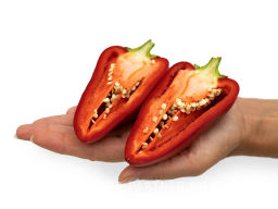 Перец сладкий Пилот - Партнер фото 5