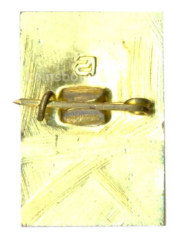 Значок Петродворец