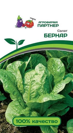 3152P Салат кочанный БЕРНАР 0,5гр