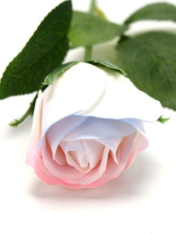 Цена за 2 шт. Дымная мыльная белая роза - SB BEAUTY фото 4