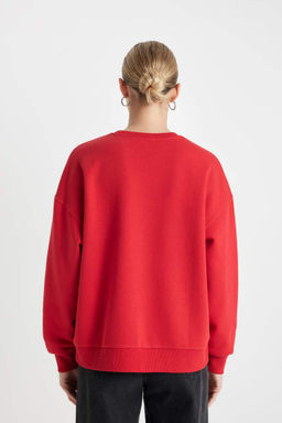 Толстовка из плотной ткани свободного кроя с круглым вырезом и принтом - Defacto фото 5