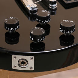 Электрогитара TERRIS TLP-039 BK Les Paul, HH, 2V2T, чёрная