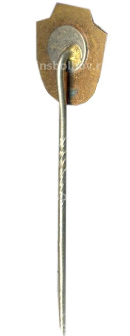 Значок Вильянди