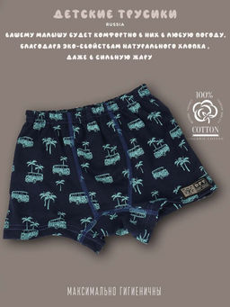 Комплект трусов для мальчика 3 шт. dff Тр 3000/12,15,17 Размер 34 - Sergio valentini фото 5