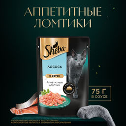 Паучи для кошек "Ломтики в соусе с лососем", 75г 10288397/10244556