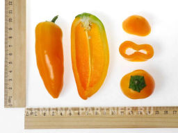 Перец сладкий Кеша - Партнер фото 8