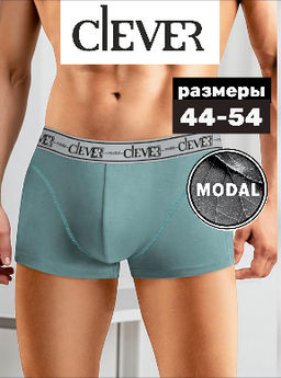 Трусы мужские шорты МОДАЛ - Clever wear фото 14
