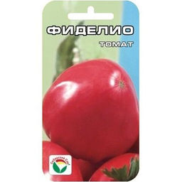 Томат Фиделио 20шт. (Сибирский сад)