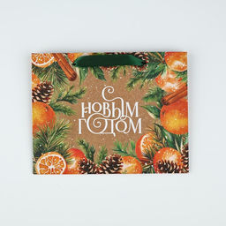 Цена за 2 шт. Пакет подарочный новогодний крафтовый «С Новым годом», MS 18×23×10 см