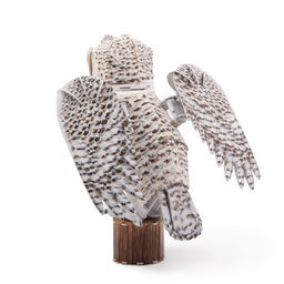 REZARK ANM-01 Серия Животные 62 элемент. Полярная сова