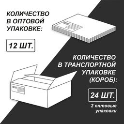Светоч Дневник школьный 1-11 класс, матовая ламинация + выборочный лак, A5+ 40 л. 12 шт. твердый переплет 60 г/кв.м Back to School 40ДТ5_000004