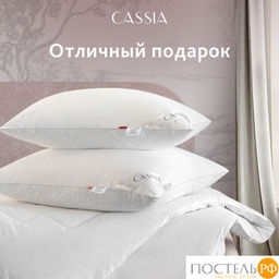 CASSIA Одеяло КЛАУД СОФТ 200х220, 1пр., хл./микровол.Лебяжий пух  фото 22