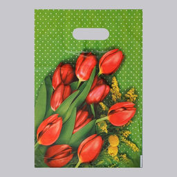 Цена за 50 шт. Пакет «Мимоза» полиэтиленовый с вырубной ручкой, 35 мкм, 30×40 см