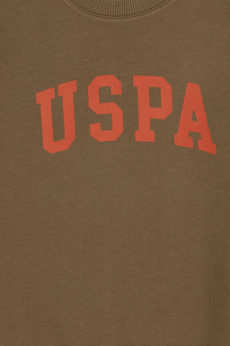Свитшот U.S. Polo Assn для мальчика хаки хлопок  фото 3