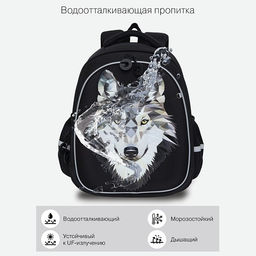 RAz-087-3 new Рюкзак школьный с картхолдером на держателе - Grizzly фото 46