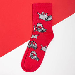 Цена за 2 шт. Носки женские новогодние KAFTAN Мопс размер 36-40 (23-25 см)  фото 2