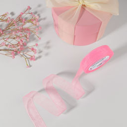 Цена за 2 шт. Лента капроновая, 20 мм, 20±1 м, светло-розовая№04