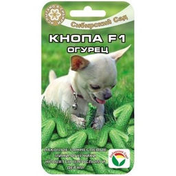 Огурец Кнопа F1 7шт. (Сибирский сад)