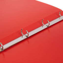 Лео Учись Папка-портфолио школьника на 4 кольцах A4 700 мкм 25 мм песок 1 шт. красный LNKP-023