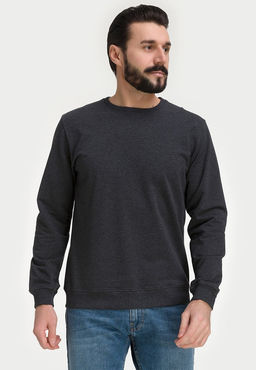Свитшот мужской GREG G121-OZ02-30 (антрацит м.)