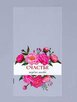 Цена за 50 шт. Пакет фасовочный БОПП, Счастье ждет тебя, для сладостей и подарков, 20?35 см