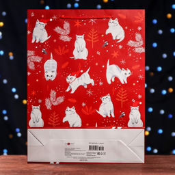 Пакет подарочный Каникулы, 33 х 42,5 х 10 см - Simaland фото 6