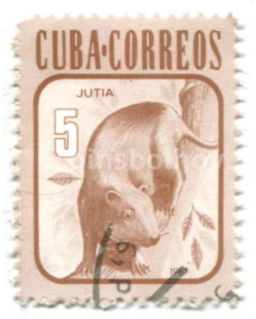 Марка Ежовая крыса 1981 год Бразилия