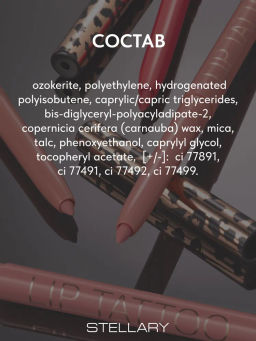 Stellary Автоматический карандаш для губ тон 04 plum  фото 8