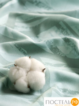 КПБ Estia ТРОПИКАНА  фото 11