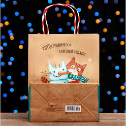 Пакет подарочный КОТОстрофически классный подарок 18 х 22,3 х 10 см - Simaland фото 2