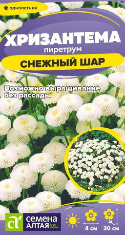 Цветы Хризантема Снежный шар пиретрум/Сем Алт/цп 0,01 гр. (2029 / 42251)