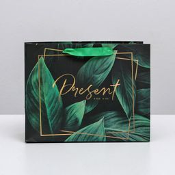 Цена за 2 шт. Пакет подарочный ламинированный, упаковка, Present for you, MS 23×18×10 см