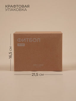 Фитбол Sima-Land Home, d=75 см, 1000 г, антивзрыв, цвет белый