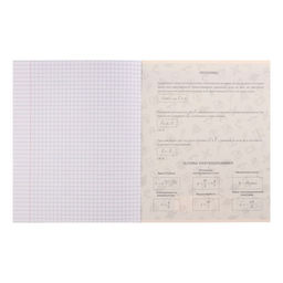 Набор предметных тетрадей Calligrata TOP «Журнал», 10 предметов, 48 листов, со справочным материалом, картонная обложка, глянцевая ламинация