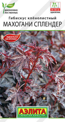 1402A Гибискус Махогани сплендер 3шт