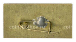 Значок Карпаты