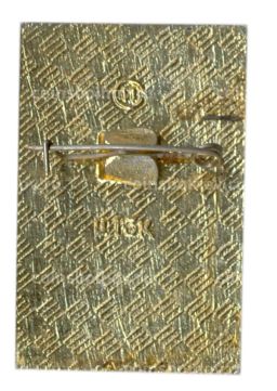 Значок Горький