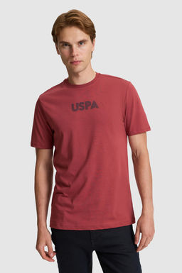 Erkek Vi_ne Regular Fit Bisiklet Yaka Basic Ti__rt
