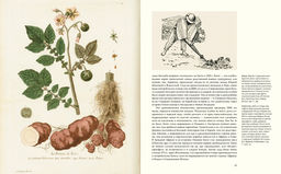 Выдающиеся растения, которые изменили нашу жизнь. Байнум Х., Байнум У.