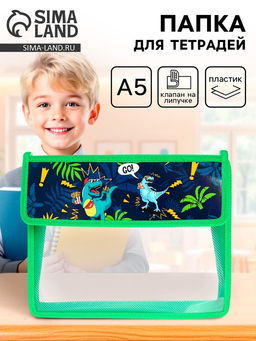 Папка для тетрадей, А5, пластиковая, 23×19×5 см «Дино»