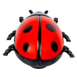 Чудики Bondibon Игрушка детская сползает по стеклу БОЖЬЯ КОРОВКА, BLISTER  фото 8