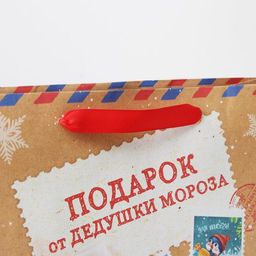 Пакет подарочный новогодний крафтовый «Подарок от Деда мороза», M 26 х 30 х 9 см