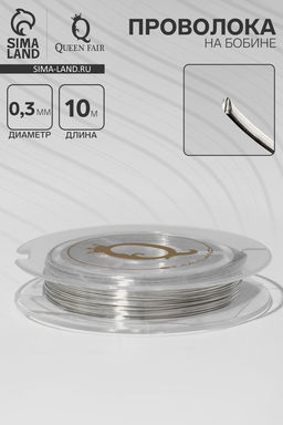 Цена за 2 шт. Проволока на бобине, d=0.3 мм, L=10 м, цвет серебро
