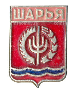 Значок Шарья