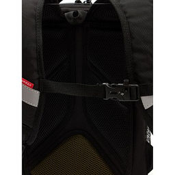 RAw-397-6 Рюкзак школьный - Grizzly фото 20