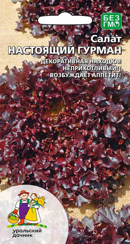 Салат НАСТОЯЩИЙ ГУРМАН  Декоративная находка! Неприхотливый! Возбуждает аппетит!