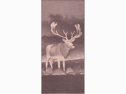 Полотенце махровое 6с102.411ж1 Фото-олень(т.с.мальв1) 67х150см